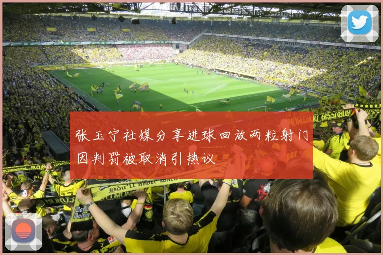 张玉宁社媒分享进球回放两粒射门因判罚被取消引热议